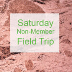 Saturday Field Trip - Non-Member Professional Rate