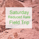 Saturday Field Trip - Reduced Rate
