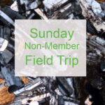 Sunday Field Trip - Non-Member Professional Rate